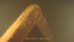 zbytek krovu