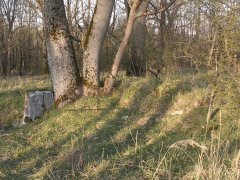 pohled zezadu zprava