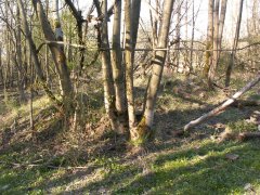 trosky kaple