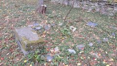 náhrobky a jejich torza po odstranění náletových dřevin