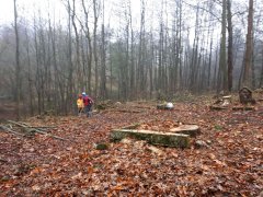 brigáda na vyčištění hřbitova