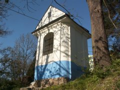 pohled zezadu zleva