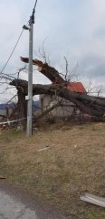 kaple poničená spadlým stromem - pohled zprava