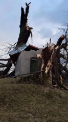 kaple poničená spadlým stromem - pohled zepředu