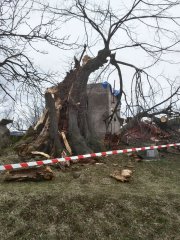 zajišťování kaple a odstranění polámaných stromů po vichřici
