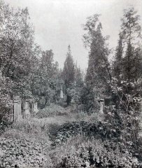 historické foto hřbitova