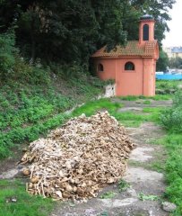 kosti nalezené při archeologickém průzkumu na bývalém hřbitově