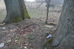 pohled zezadu zleva