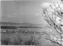 historické foto kaple (zcela vlevo před bílým domem u dvojice bříz)