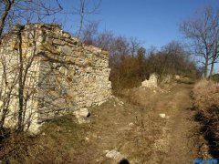 obřadní síň před částečnou opravou