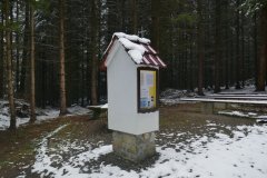 pohled zezadu zleva