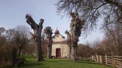 pohled zepředu