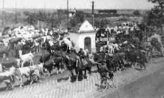 osvobození Drahanovic - starší foto kaple