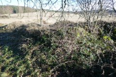 zbytky zdiva márnice