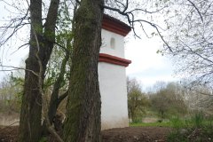 pohled zezadu zleva