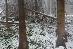 místo, kde kaplička stála