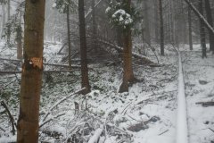 místo, kde kaplička stála