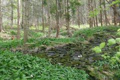 pramen pod svatým obrazem