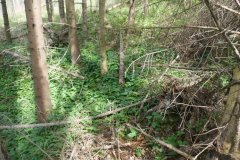 místo, kde svatý obraz stával