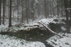 pramen pod svatým obrazem