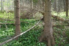 místo, kde svatý obraz stával