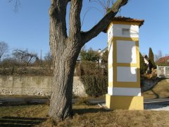 pohled zezadu zleva