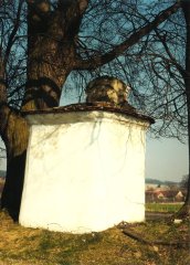pohled zezadu zleva