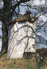 pohled zezadu zleva