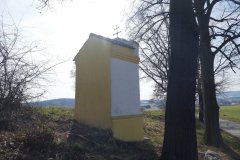 pohled zezadu zleva