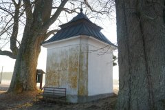 pohled zezadu zleva