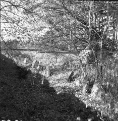 hřbitov před opravou