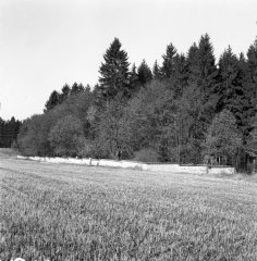 celkový pohled na hřbitov