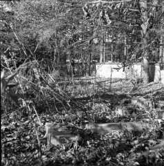 hřbitov před opravou