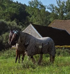 štít budovy s kaplí
