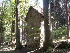 pohled zezadu zleva