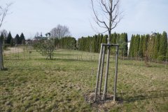 celkový pohled na hřbitov