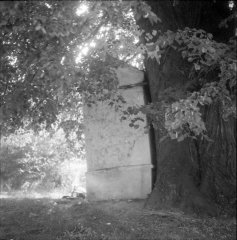 kaplička vyvrácená vedle rostoucí lípou