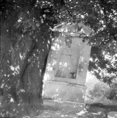 kaplička vyvrácená vedle rostoucí lípou