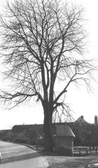 historické foto původní kapličky