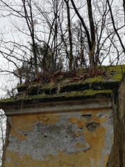 střecha poškozená mechem