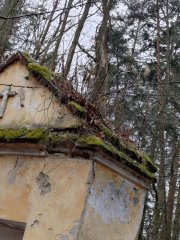 střecha poškozená mechem