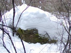 pohled zezadu zleva