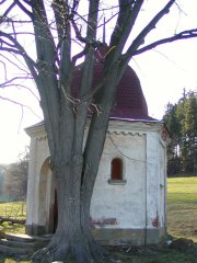 pohled zepředu zprava