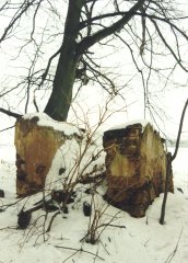 pohled zepředu zprava