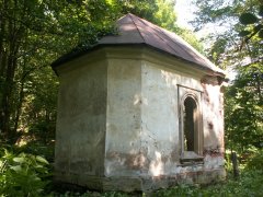 pohled zezadu zleva