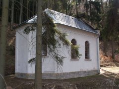 pohled zezadu zleva