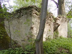 pohled zezadu zleva