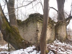 pohled zezadu zleva