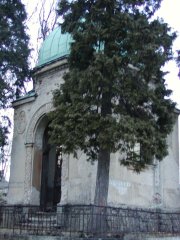 pohled zepředu zprava