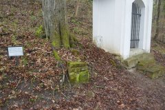 obnovené zastavení křížové cesty a základy jedné z kaplí